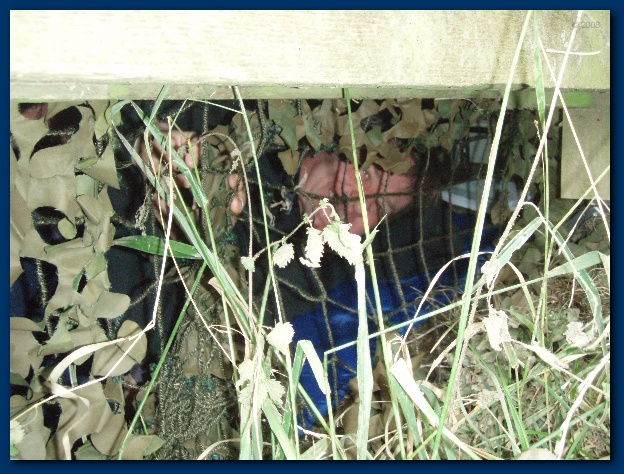 600x449 pixels (172K)